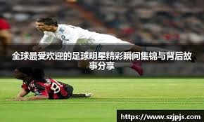 赛的动态