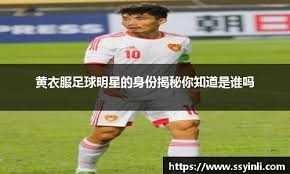 体手